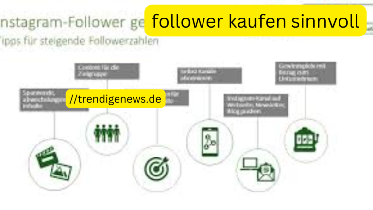 follower kaufen sinnvoll